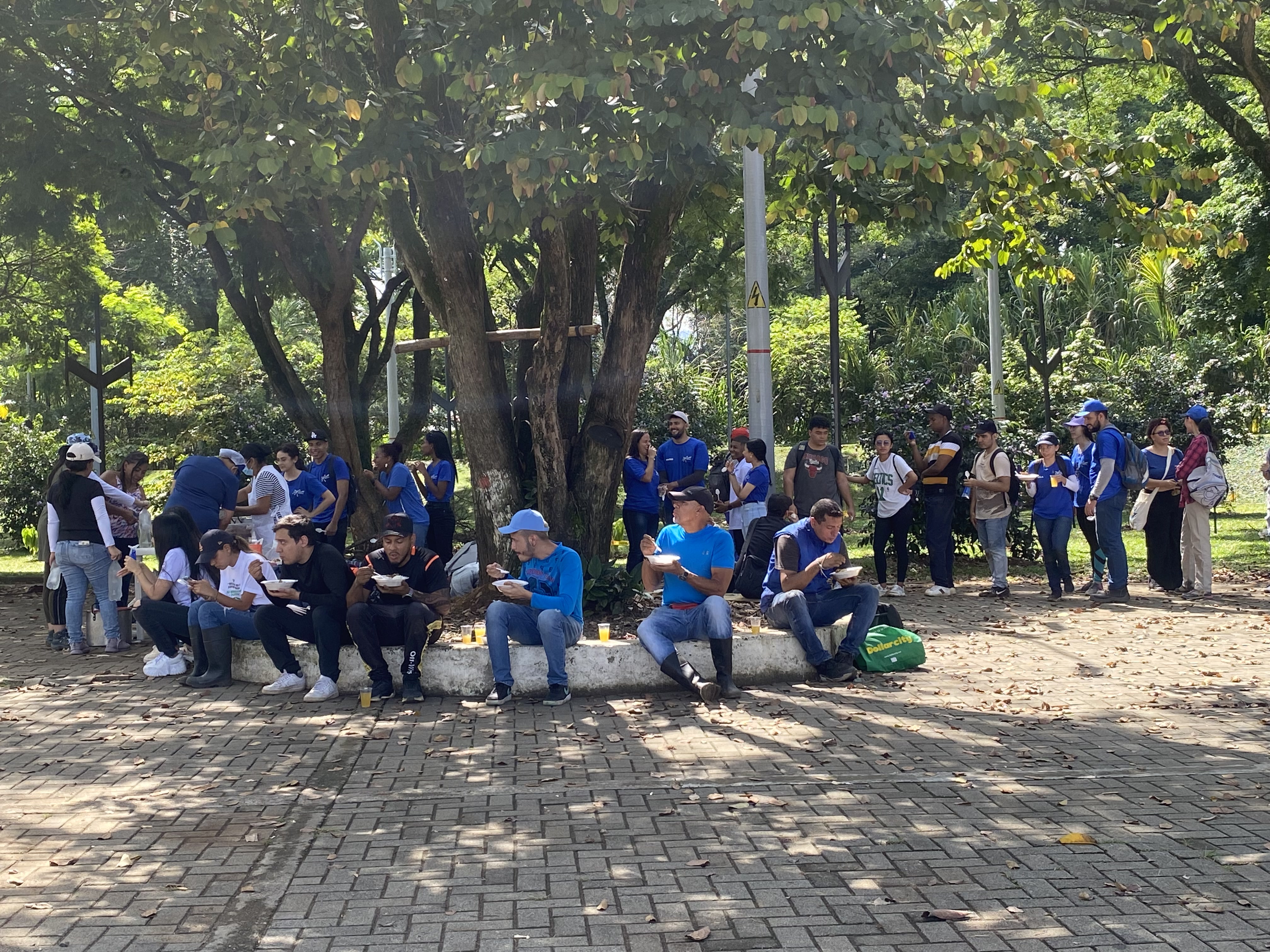 Limpieza comunitaria